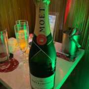 ヒメ日記 2025/01/28 22:59 投稿 まい ベイビーモコ