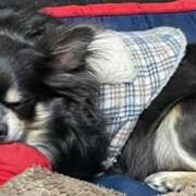 ヒメ日記 2025/02/13 15:17 投稿 まい ベイビーモコ