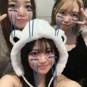 ヒメ日記 2025/02/22 10:31 投稿 まい ベイビーモコ