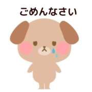 ヒメ日記 2025/02/24 14:49 投稿 まい ベイビーモコ