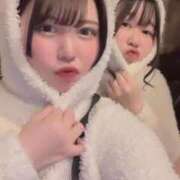 ヒメ日記 2025/03/19 11:16 投稿 まい ベイビーモコ