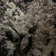 ヒメ日記 2025/03/31 07:02 投稿 まい ベイビーモコ