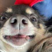 ヒメ日記 2025/04/22 14:54 投稿 まい ベイビーモコ