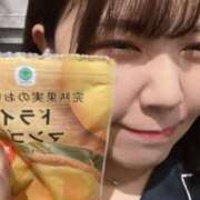 ヒメ日記 2025/05/23 13:29 投稿 まい ベイビーモコ