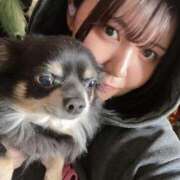 ヒメ日記 2025/05/28 07:51 投稿 まい ベイビーモコ