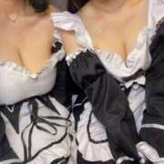 ヒメ日記 2025/06/06 08:20 投稿 まい ベイビーモコ