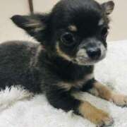 ヒメ日記 2025/07/04 14:54 投稿 まい ベイビーモコ