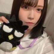 ヒメ日記 2025/07/09 20:58 投稿 まい ベイビーモコ