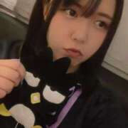 ヒメ日記 2025/07/14 13:05 投稿 まい ベイビーモコ