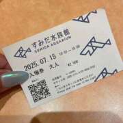 ヒメ日記 2025/07/16 00:46 投稿 まい ベイビーモコ