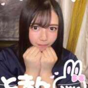 ヒメ日記 2025/07/16 16:54 投稿 まい ベイビーモコ