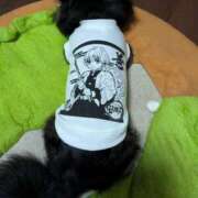 ヒメ日記 2025/08/14 20:05 投稿 まい ベイビーモコ