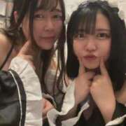 ヒメ日記 2025/09/23 11:22 投稿 まい ベイビーモコ