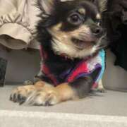 ヒメ日記 2025/09/27 17:41 投稿 まい ベイビーモコ