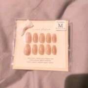 ヒメ日記 2025/11/19 13:01 投稿 まい ベイビーモコ