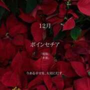 ヒメ日記 2025/12/11 09:01 投稿 まい ベイビーモコ
