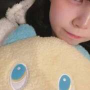 ヒメ日記 2025/12/16 14:21 投稿 まい ベイビーモコ