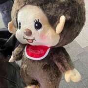 ヒメ日記 2025/12/17 13:30 投稿 まい ベイビーモコ