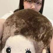 ヒメ日記 2025/12/19 11:50 投稿 まい ベイビーモコ