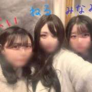 ヒメ日記 2025/12/31 02:10 投稿 まい ベイビーモコ