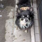 ヒメ日記 2026/02/18 12:57 投稿 まい ベイビーモコ