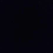 ヒメ日記 2026/02/19 12:32 投稿 まい ベイビーモコ