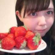 ヒメ日記 2026/02/19 18:31 投稿 まい ベイビーモコ