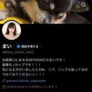 ヒメ日記 2026/08/25 09:43 投稿 まい ベイビーモコ