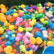 ヒメ日記 2026/07/29 17:12 投稿 ゆう ベイビーモコ
