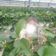 ヒメ日記 2025/02/05 17:29 投稿 薫子【カオルコ】 ピンクコレクション大阪