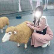 ヒメ日記 2025/02/05 18:57 投稿 薫子【カオルコ】 ピンクコレクション大阪