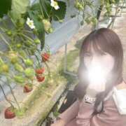 ヒメ日記 2025/02/07 16:41 投稿 薫子【カオルコ】 ピンクコレクション大阪