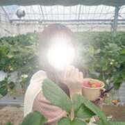 ヒメ日記 2025/02/08 20:07 投稿 薫子【カオルコ】 ピンクコレクション大阪