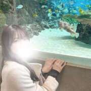 ヒメ日記 2025/03/03 15:18 投稿 薫子【カオルコ】 ピンクコレクション大阪