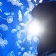 ヒメ日記 2025/03/04 17:28 投稿 薫子【カオルコ】 ピンクコレクション大阪