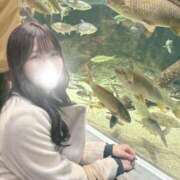 ヒメ日記 2025/03/11 02:21 投稿 薫子【カオルコ】 ピンクコレクション大阪