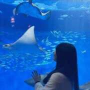 ヒメ日記 2025/03/13 22:33 投稿 薫子【カオルコ】 ピンクコレクション大阪