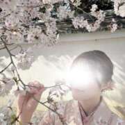 ヒメ日記 2025/04/19 13:11 投稿 薫子【カオルコ】 ピンクコレクション大阪