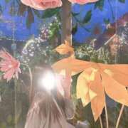 ヒメ日記 2025/04/29 12:05 投稿 薫子【カオルコ】 ピンクコレクション大阪