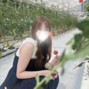 ヒメ日記 2025/08/03 11:21 投稿 薫子【カオルコ】 ピンクコレクション大阪