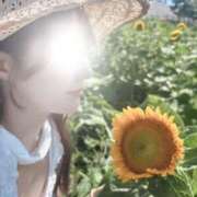 ヒメ日記 2025/08/09 21:55 投稿 薫子【カオルコ】 ピンクコレクション大阪