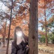 ヒメ日記 2025/12/08 12:02 投稿 薫子【カオルコ】 ピンクコレクション大阪