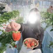 ヒメ日記 2026/01/17 12:12 投稿 薫子【カオルコ】 ピンクコレクション大阪