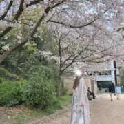 ヒメ日記 2026/04/06 14:02 投稿 薫子【カオルコ】 ピンクコレクション大阪