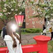 薫子【カオルコ】 今年最後🌸 ピンクコレクション大阪