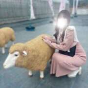 ヒメ日記 2025/02/05 19:05 投稿 薫子【カオルコ】 ピンクコレクション大阪キタ店