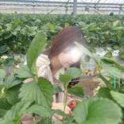 ヒメ日記 2025/02/16 01:28 投稿 薫子【カオルコ】 ピンクコレクション大阪キタ店