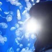 ヒメ日記 2025/03/04 17:28 投稿 薫子【カオルコ】 ピンクコレクション大阪キタ店