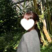 ヒメ日記 2025/04/04 16:36 投稿 薫子【カオルコ】 ピンクコレクション大阪キタ店