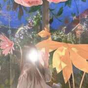 ヒメ日記 2025/04/29 12:02 投稿 薫子【カオルコ】 ピンクコレクション大阪キタ店